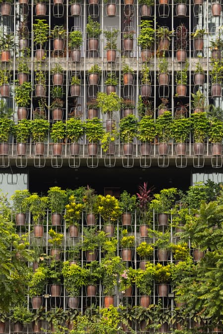 Flying Vegetation
